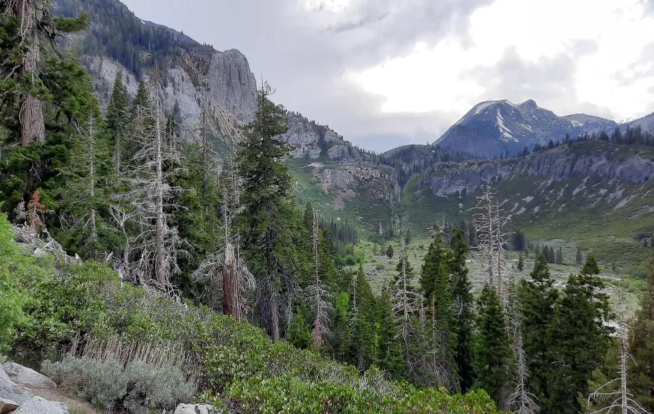 Empeiria High Sierra Mammoth Lakes